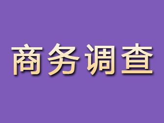 安阳商务调查